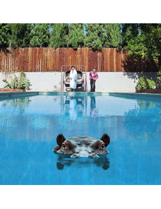 Sparks - Hippopotamus