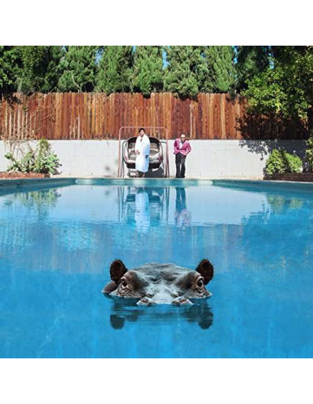 Sparks - Hippopotamus