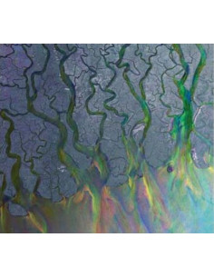 Alt-J (A) - An Awesome Wave - (CD) (2025)