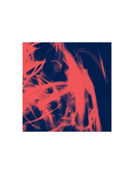 Rival Consoles - Landscape From Memory