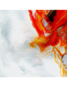 Nevertel - Start Again - (CD)