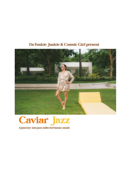 Da Funkie Junkie and C - A Journey Into Jazz Inflected House Musi
