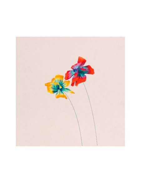 Diodato - Cosi Speciale (Box Deluxe: Lp / Cd / Adesivi / 2 Fotografie)