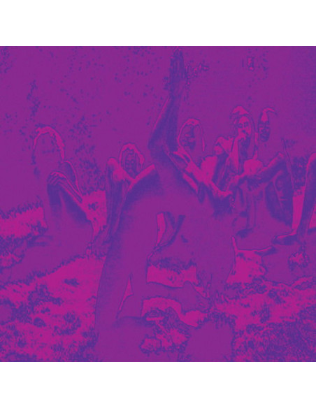 Bardo Pond/Acid Moth - Acid Guru Pond