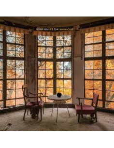 Coh and Midori Hirano - Sudden Fruit - (CD)