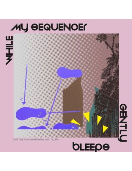 While My Sequencer G - Last Night A Bassline Saved My Life