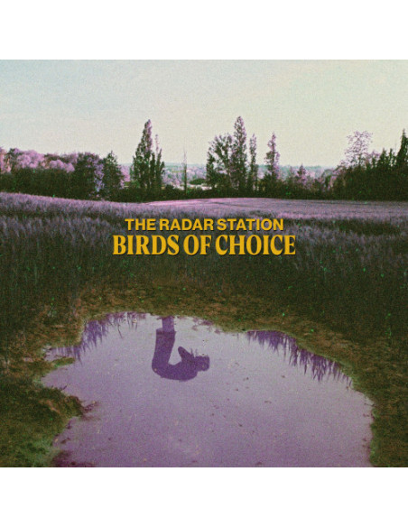 Radar Station - Birds Of Choice