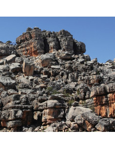 Merzbient - 18 Vinyls