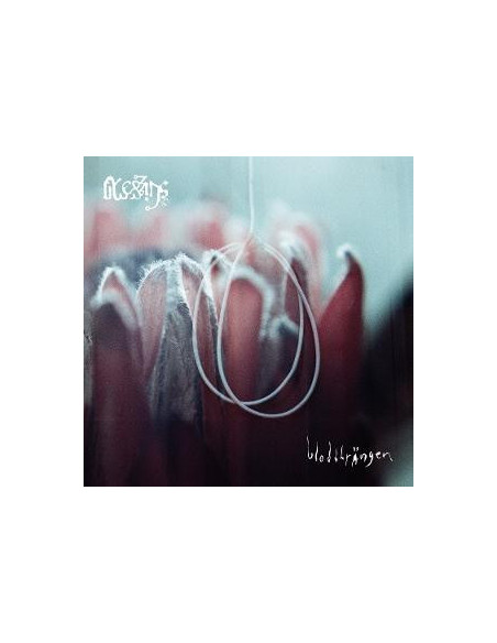 Blessings - Blodstrangen