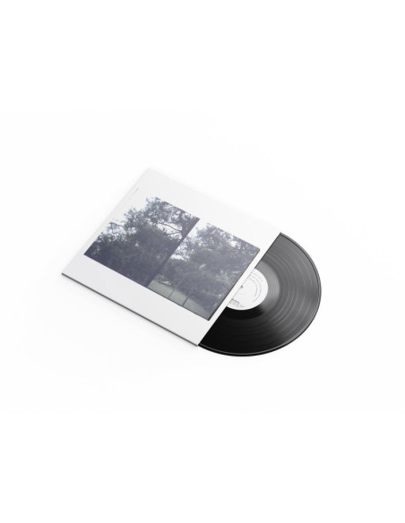 Lee, Okkyung - Just Like Any Other Day: Background Musi