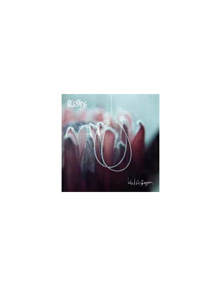 Blessings - Blodstrangen - (CD)