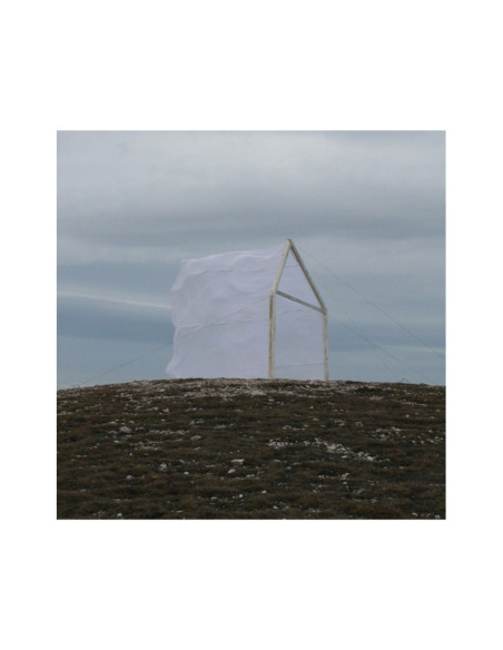 For Those I Love - Carving The Stone - (CD)