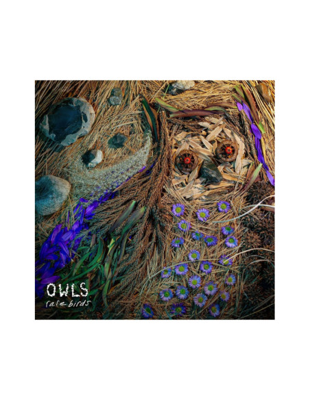 Owls - Rare Birds - (CD)