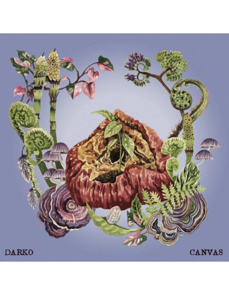 Darko - Canvas - (CD)