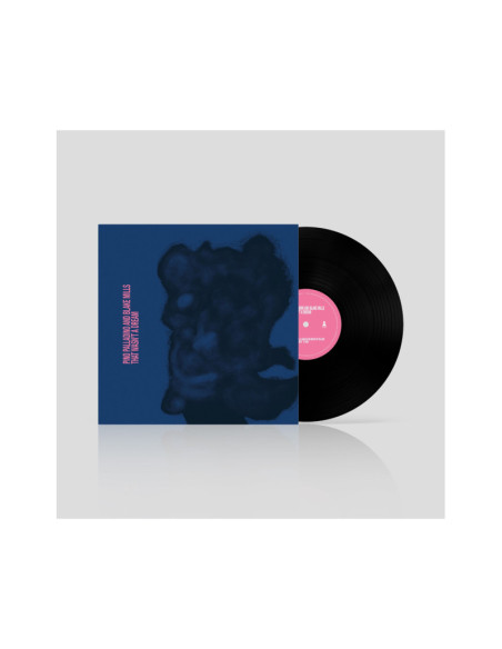 Palladino P/Mills B. - That Wasn'T A Dream