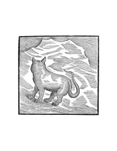 Magaletti Valentina - Kansai Bruises