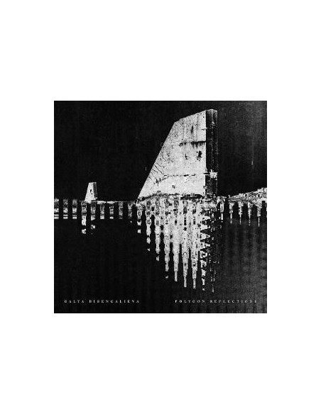 Bisengalieva Galya - Polygon Reflections
