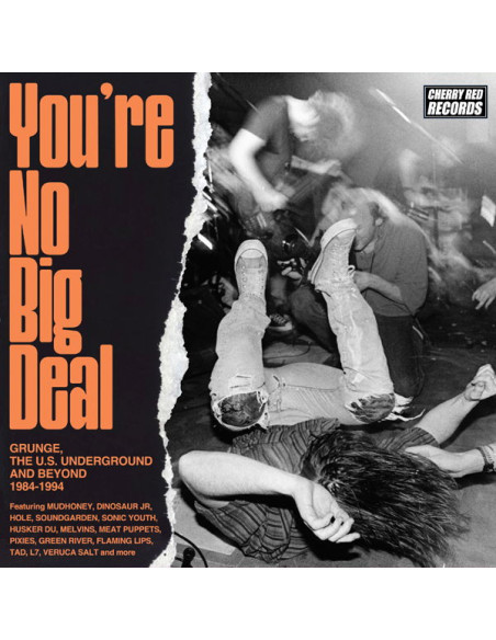 Compilation - You'Re No Big Deal - Grunge The U.S. Un - (CD)