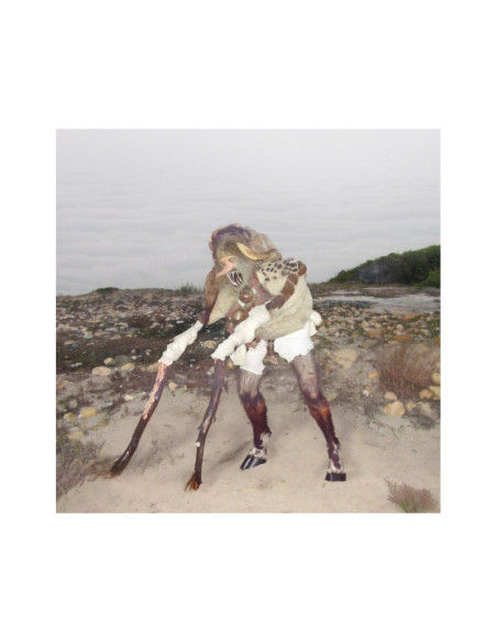 Grumpy - Piebald - (CD)