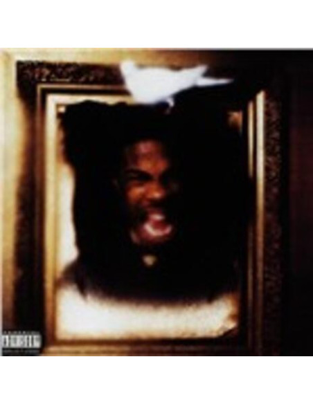 Busta Rhymes - Coming