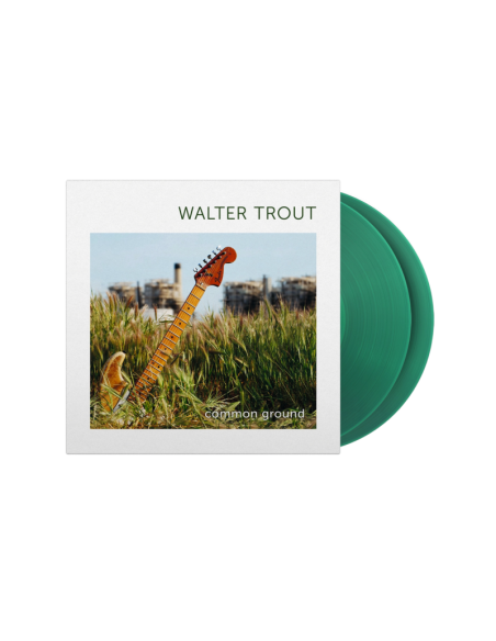 Trout, Walter - Common Ground