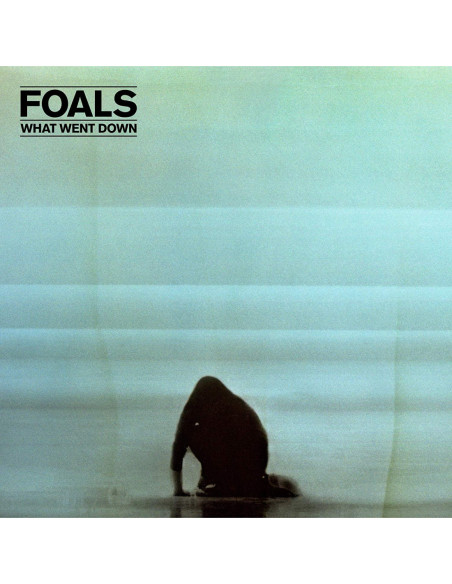 Foals - What Went Down (Vinyl Clear and Black Limited Edt.)