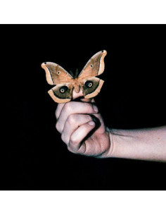 Soulwax - All Systems Are Lying - (CD)