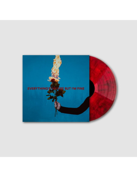 As December Falls - Everything'S On Fire But I'M Fine (Marble Red Vinyl)