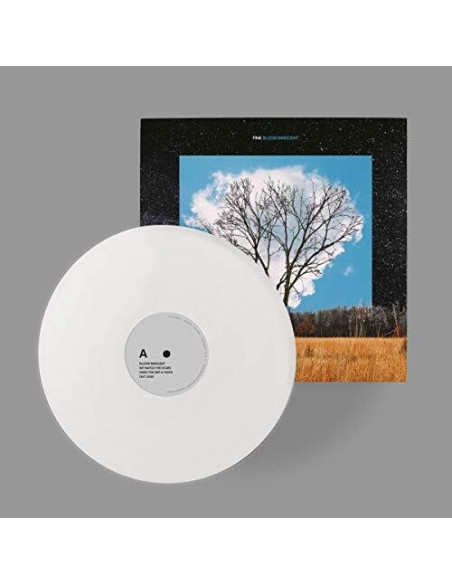 Fink - Bloom