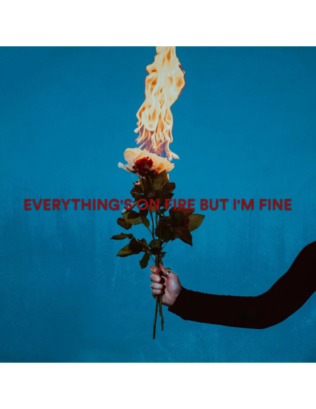 As December Falls - Everything'S On Fire But I'M Fine - (CD)