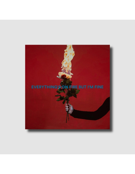 As December Falls - Everything'S On Fire But I'M Fine - (CD) (Deluxe Edition)