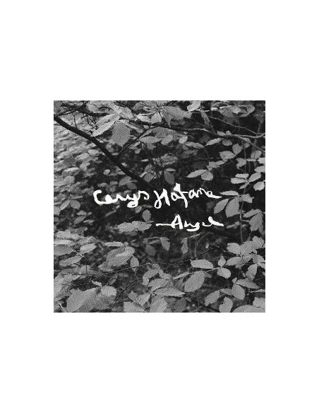 Hafana, Cerys - Angel - (CD)