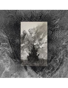 Superpoze - Siecle - (CD)