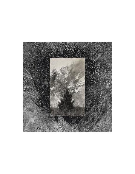 Superpoze - Siecle - (CD)