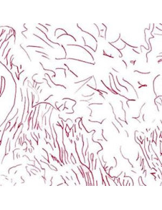 Skinner, Tom - Voices Of Bishara