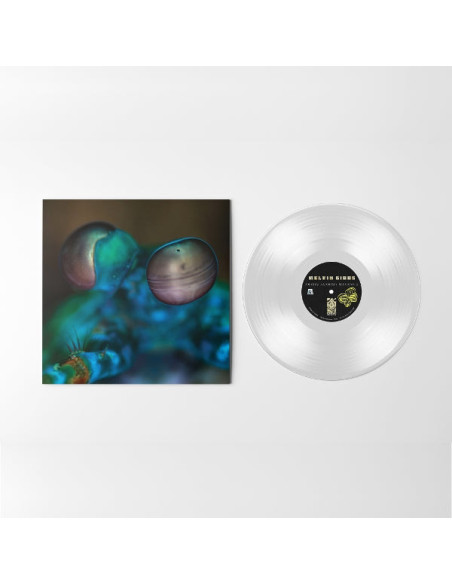 Gibbs, Melvin - Amasia: Anamibia sessions 2 Clear vinyl