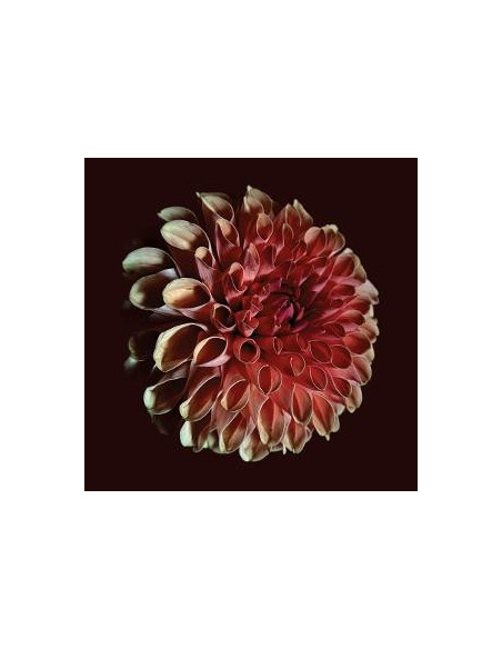Moss, Jessica - Unfolding