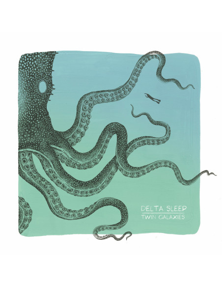 Delta Sleep - Twin Galaxies