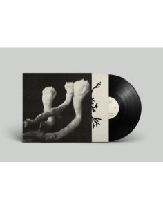 Angel, Sophie - Learning