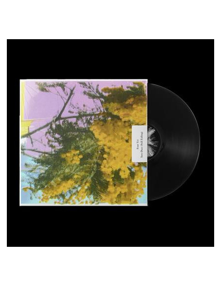 Four Tet - Into Dust (Still Falling)