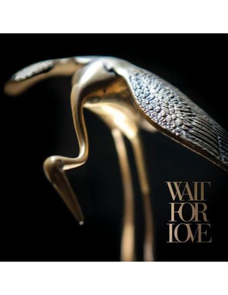 Pianos Become The Te - Wait For Love - Krm