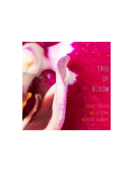 Trio Of Bloom - Trio Of Bloom - (CD)