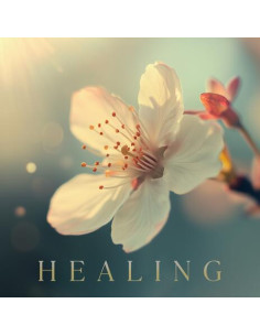 Compilation - Healing - (CD)