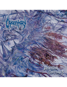 Dysentery - Dejection Chrysalis - (CD)
