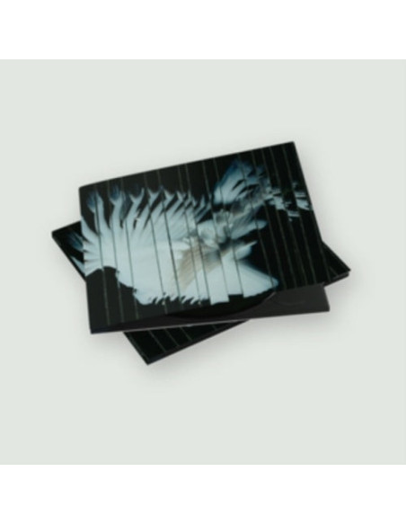 Scaler - Endlessly - (CD)