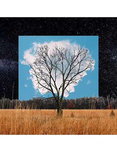Fink - Bloom - (CD)