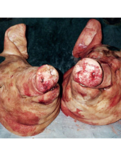 Armand Hammer and The - Haram