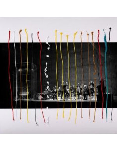 Asko, Schonberg Jameszoo - Music For 17 Musicians