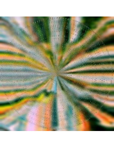 Hoffmann, Nils - Everlight