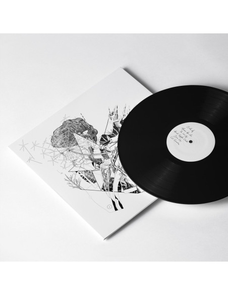 Hoop, Jesca - Selective Memory